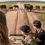 safari.tanzania1_1629309649965727