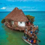 piotrzzanzibaru_1633872624909257