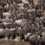 robbytraveller_1630931303119523