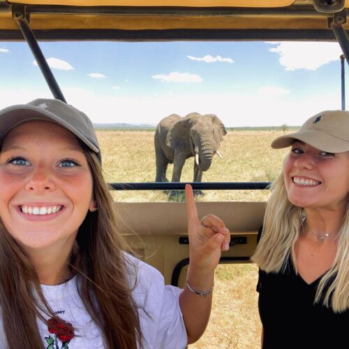 suzette_dfr_1632984362072354