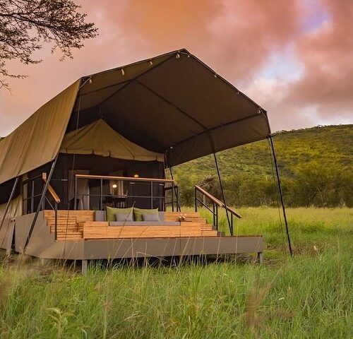 take_me_to_tanzania_1635686075808710