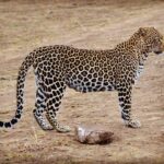 thakthaktravels_1636125641297529