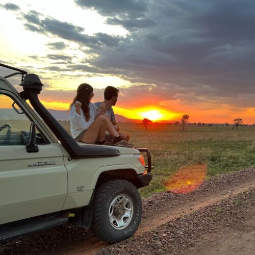 veronic.ferrer_1637217280572515