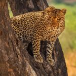 world_of_eremin_1630140677461440