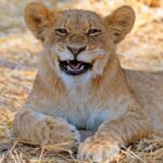 worldexpeditions_1629387170408240