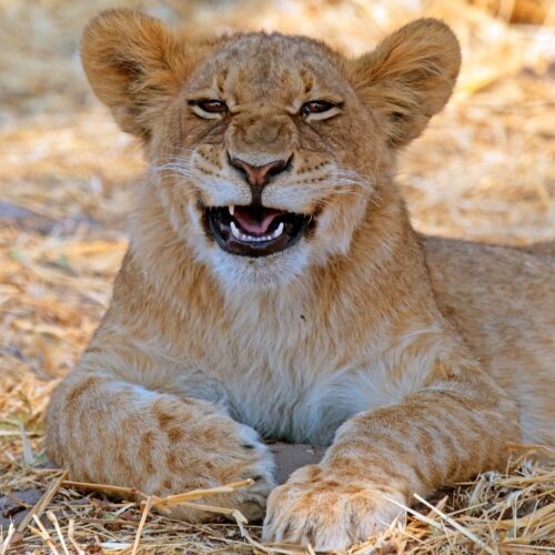 worldexpeditions_1629387170408240