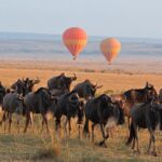 Serengeti National Park