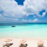 zanzibarterminus~p~B3Y4SYhly1z~1