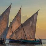 zanzibarterminus~p~B4HnxWjJ4b4~1