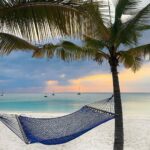 zanzibarterminus~p~CGSijwRrIAg~1