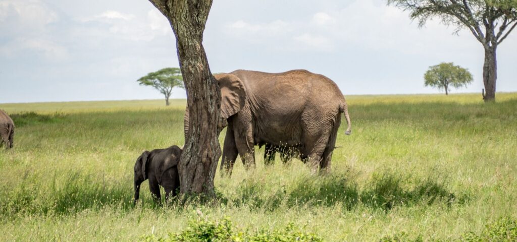 7 Days Classic Northern Circuit Highlights