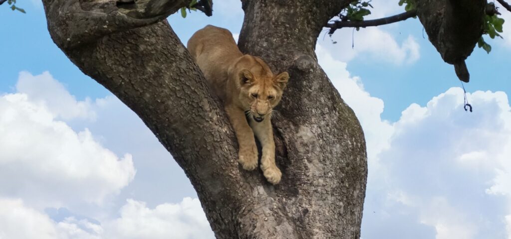 5 Days Classic Northern Circuit Highlights