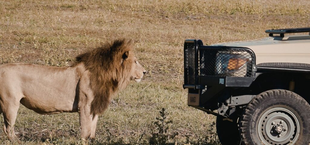 10 Days Luxury Honeymoon Safari