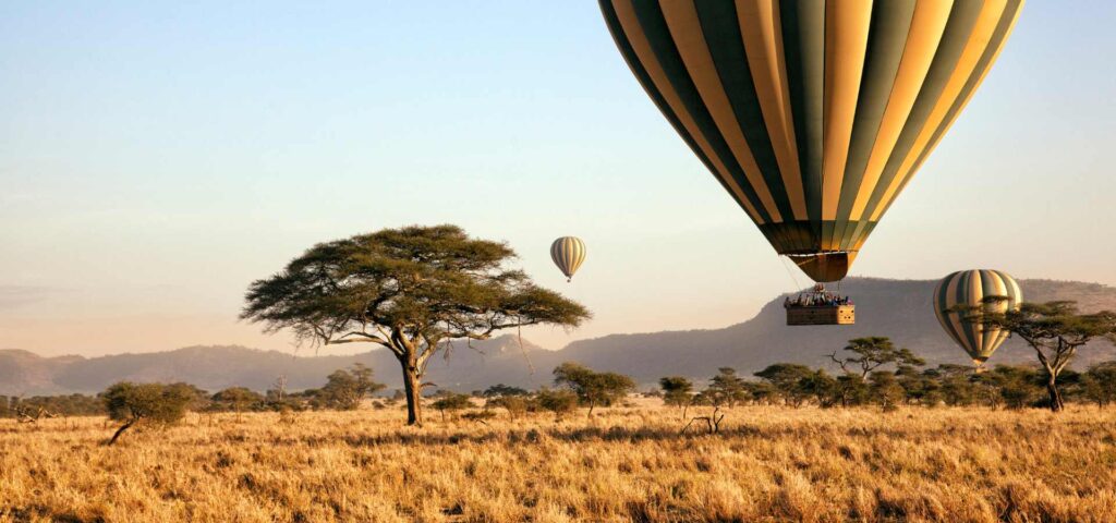 Serengeti Sky Safari Experience